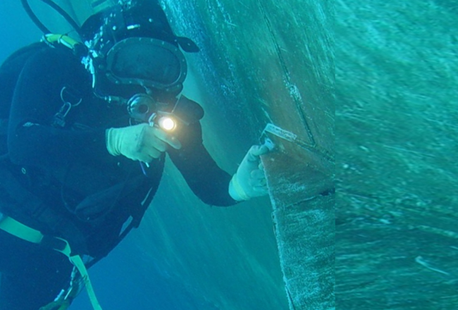 Diving Services Diving Services